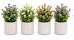 Clay Matte Plant Pots