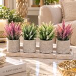 Clay Matte Plant Pots