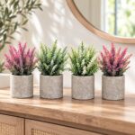 Clay Matte Plant Pots